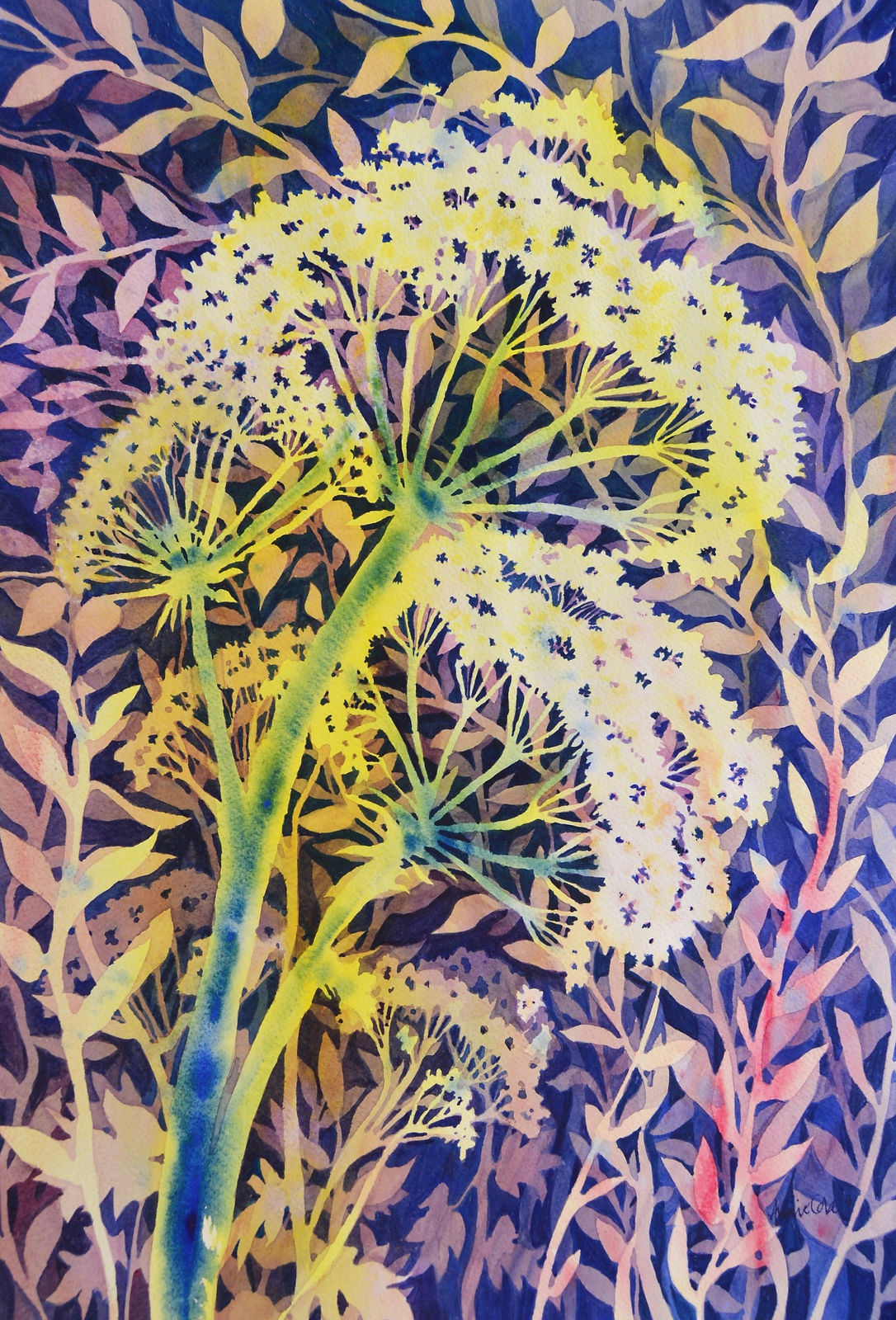 Wildflower Beauty - Annie Cole