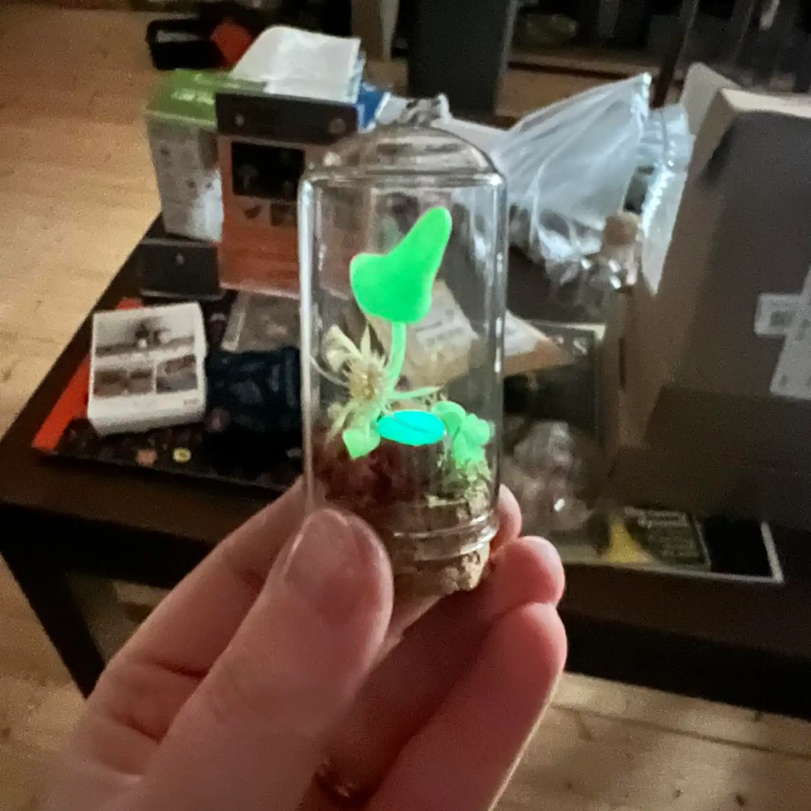 Thumbnail: Miniature GITD Mushroom Dome - Clare-Louise Battersby