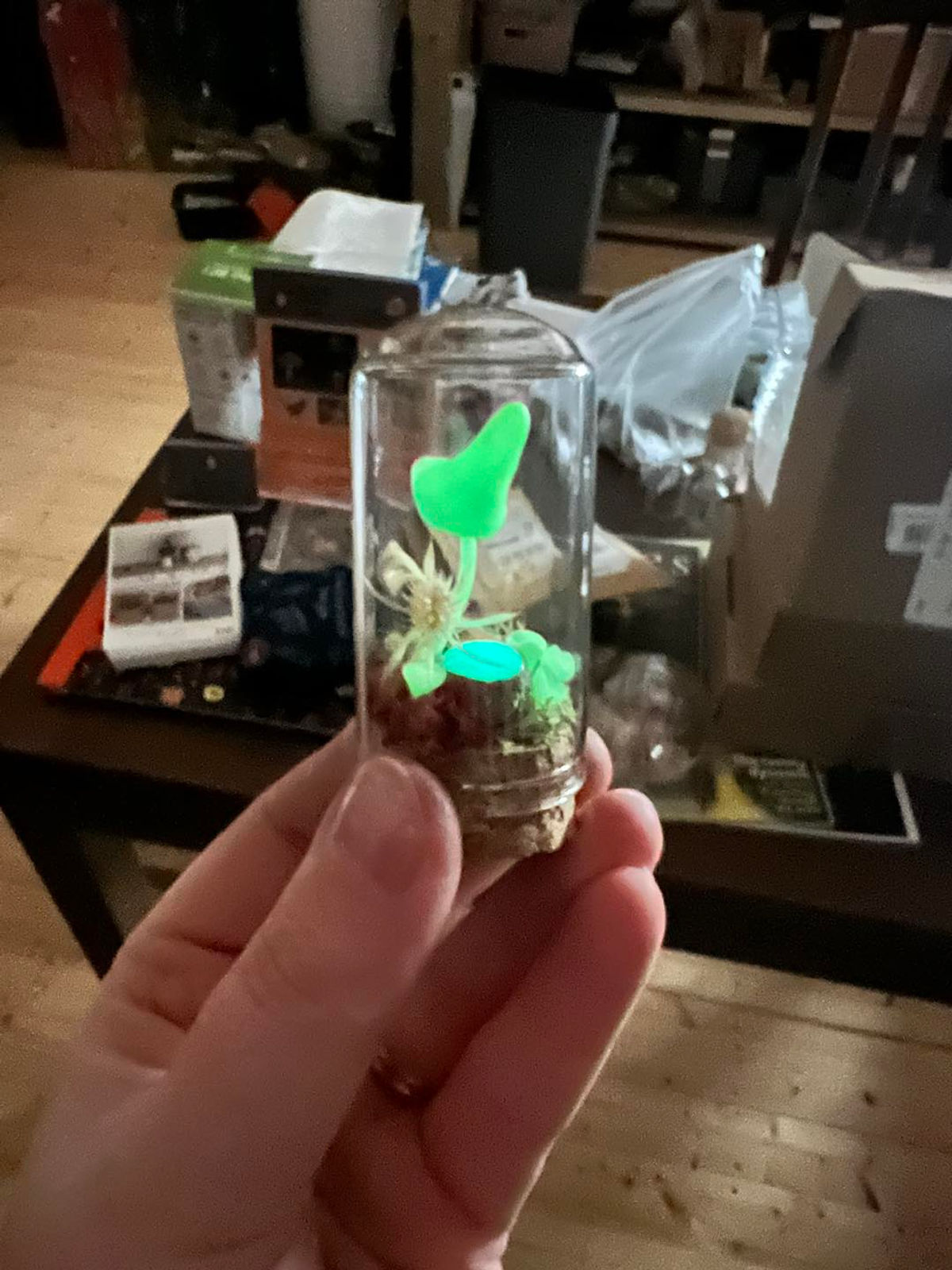 Miniature GITD Mushroom Dome - Clare-Louise Battersby