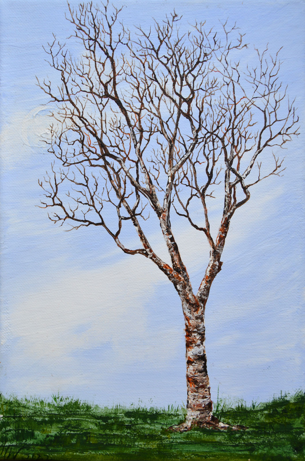 Silvered Contemplation - Helen Williams